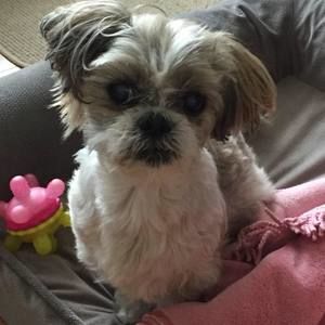 Meet your Posher, Kristen